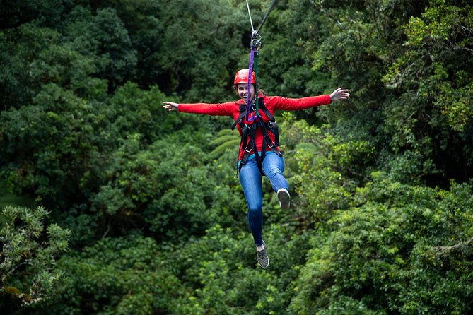 Rotorua Canopy Tours: 2.5Hour Native Forest Zipline Adventure - Free Photos and What You Should Carry