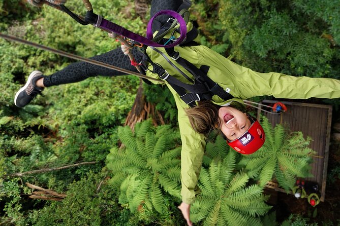 Rotorua’s Ultimate Zipline: 6 ziplines, 400 m Tandem, Cliff Walk - Six ziplines through an ancient Rotorua forest