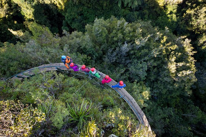 Rotorua’s Ultimate Zipline: 6 ziplines, 400 m Tandem, Cliff Walk - Who will enjoy this most?