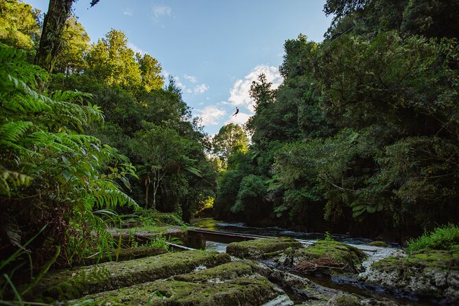 Rotorua Ziplines - Okere Falls Experience - What the 2.5-hour itinerary feels like