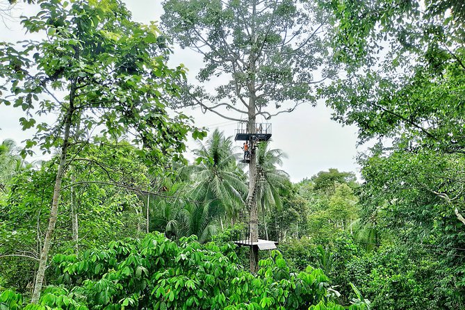 Samui Zipline Explore and Connect with Nature - Key points at a glance