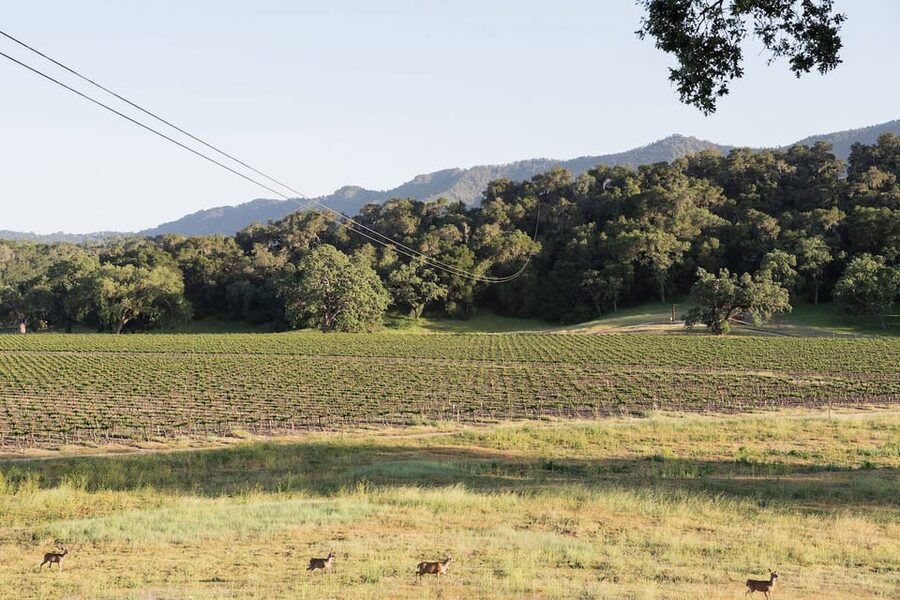 Santa Margarita: 6-Zipline Course Sunset Experience Ticket - Why the sunset timing is worth considering