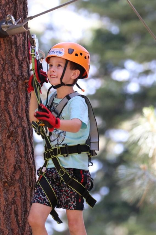 Sasquatch Hollow: Kids' Zipline Adventure - Four ziplines, with more than a straight ride