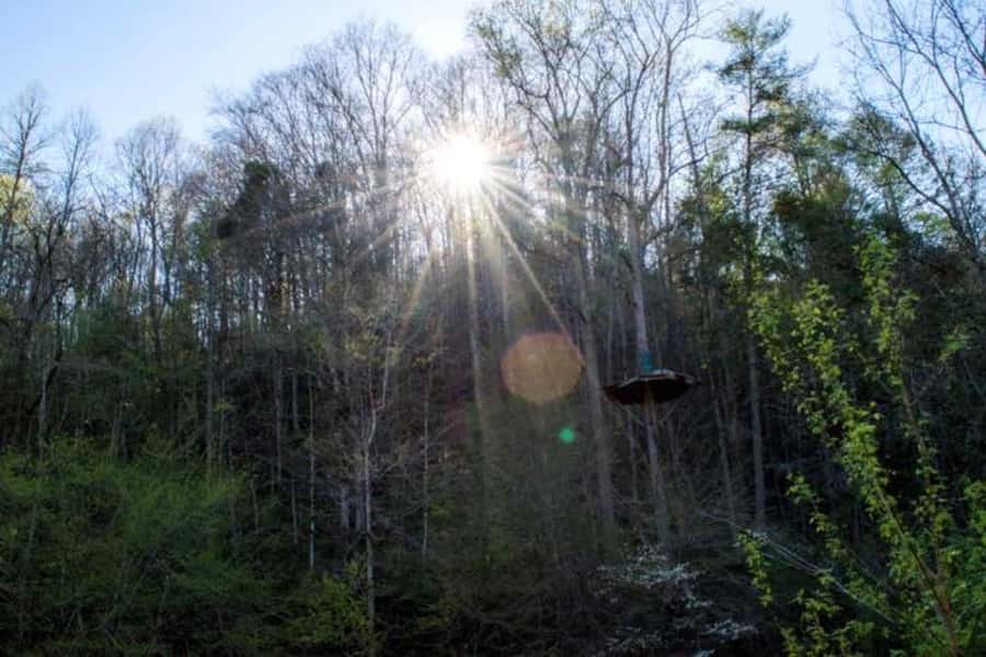 Sevierville: Extreme Mountain Zip Lining Adventure - How the guides shape the experience