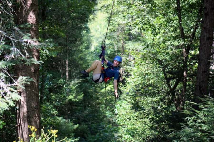 Sevierville: Waterfall Canopy Zip Lining in Smoky Mountains - Why the safety setup matters