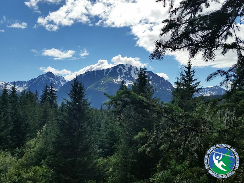 Seward: Stoney Creek Canopy Tour with Zipline - Ground school before the first zipline