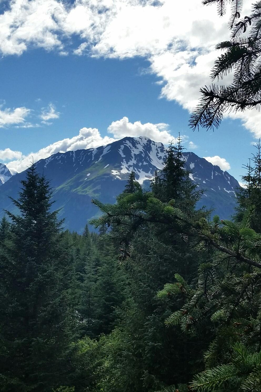 Seward: Stoney Creek Canopy Tour with Zipline - What the $179 price includes