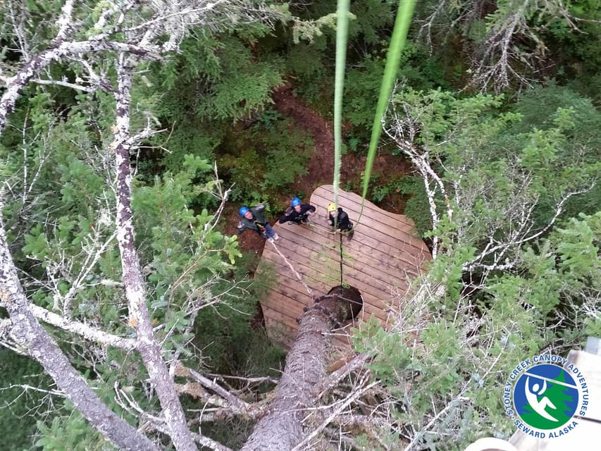 Seward: Stoney Creek Canopy Tour with Zipline - Who should book this Seward canopy tour