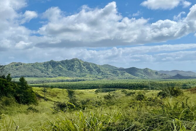 Shaka Zipline: 5 Line Zipline Tour (60 - 260 lbs) - The short ride up to the course