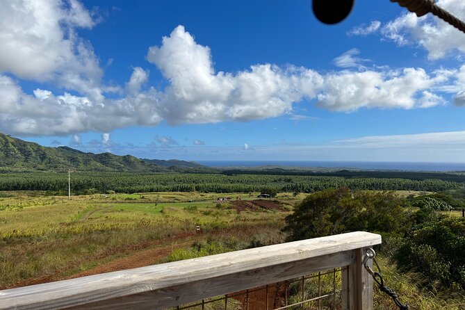 Shaka Zipline: 8 Line Zipline Tour (80 - 260 lbs) - Eight lines over the trees