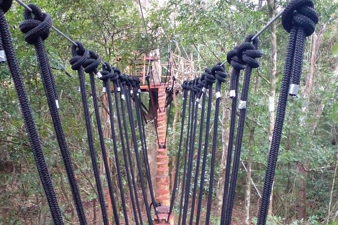 Shared ATV's and Zip Lines and Swimming in a Real Cenote. - Swimming inside Cenotes Kin-Ha