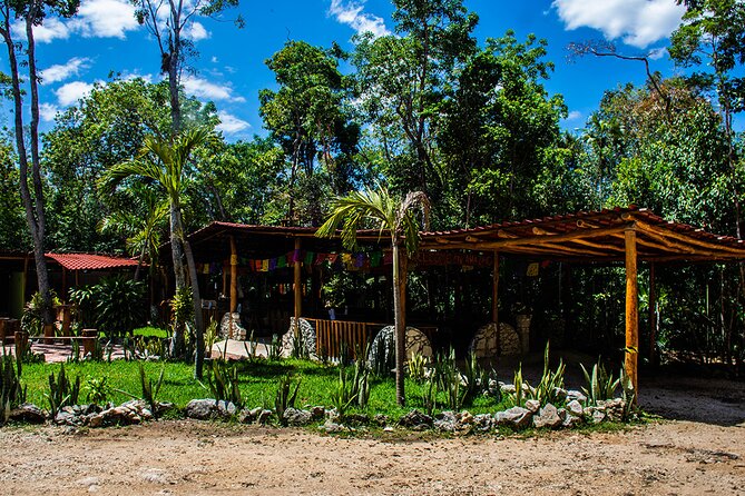 Shared ATV, Zipline, and Cenote Adventure from Playa del Carmen - Riding a shared ATV through the jungle