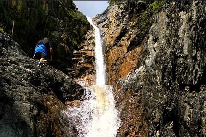 Sheki Adventure Nature Private Tour (Zipline, ATV, Off-road) - BioGarden Sheki: fruit, animals, and farm life
