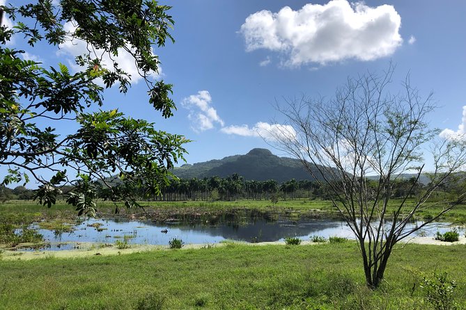 Shore Excursion: V.I.P. DayPass: ATV, Zip Lines, Horseback Riding & Lunch - A home-cooked Dominican lunch in the middle of the day