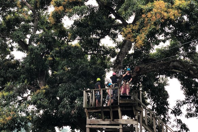 Shore Excursion: Zip Line Adventure - Weather and safety decisions