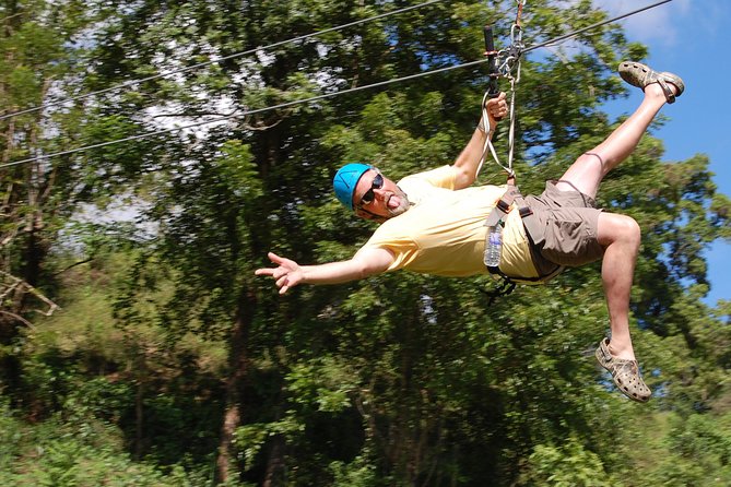 Shore Excursion: Zip Line Adventure - Eight lines, more than 7,900 feet of cable