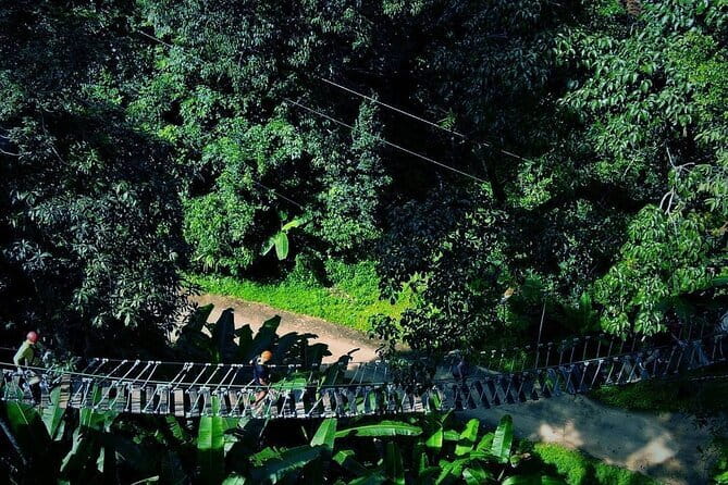 Sky Hawk Zipline Chiang Mai – Ultimate Canopy Adventure - What the course feels like from start to finish