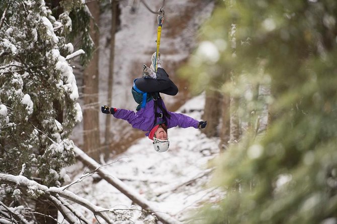 Small-Group Zipline Adventure in Queenstown - Should you book Ziptrek Ecotours?