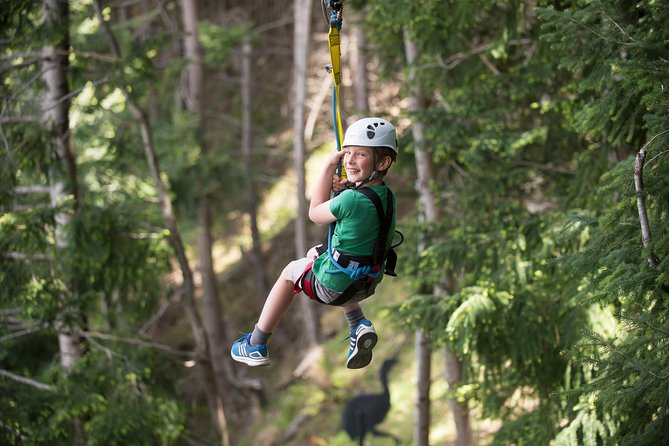 Small-Group Zipline Adventure in Queenstown - Choosing between the four-line and six-line courses
