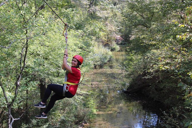 Small-Group Zipline Tour in Hot Springs - Key points before you book