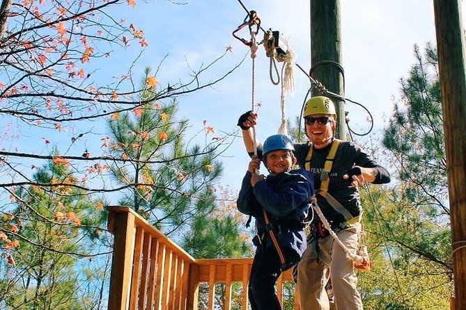 Small-Group Zipline Tour in Hot Springs - Is the $66.67 price good value?