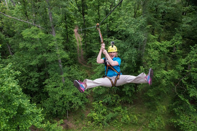 Small-Group Zipline Tour in Hot Springs - Ten ziplines through forest and over water