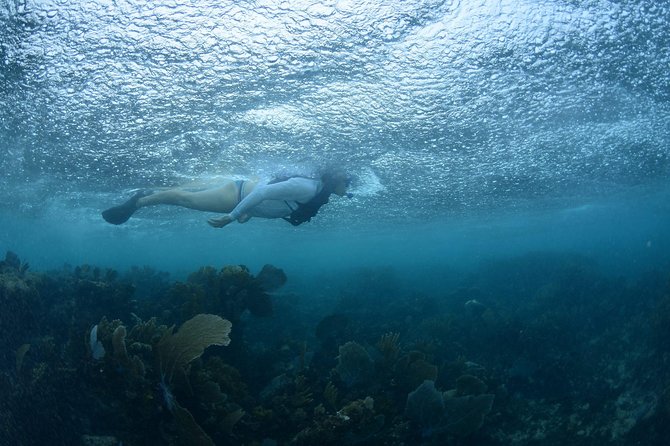 Snorkel, ATV, Zipline and Cenote Adventure from Cancun - Six ziplines through the jungle