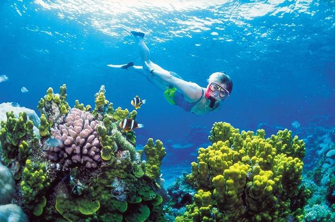 Snorkel, ATV, Zipline and Cenote Adventure from Cancun - The long pause between the water and the jungle