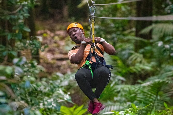St. Lucia 3 in 1 Combo: Aerial Tram, Rainforest Trail & Zipline - Key points to know