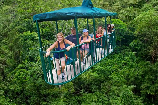 St. Lucia 3 in 1 Combo: Aerial Tram, Rainforest Trail & Zipline - What the $107 price really covers