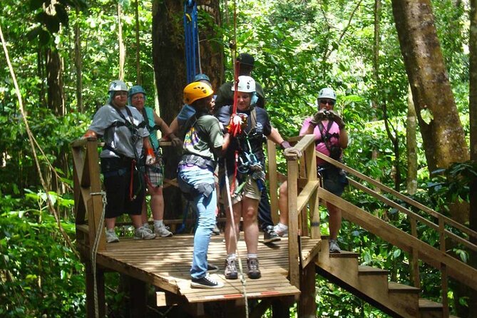 St. Lucia 3 in 1 Combo: Aerial Tram, Rainforest Trail & Zipline - Timing, groups, and practical preparation