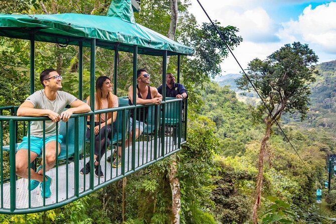 St. Lucia 3 in 1 Combo: Aerial Tram, Rainforest Trail & Zipline - Rising through the trees by aerial tram