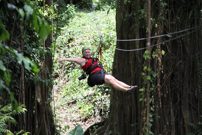 St. Lucia Morne Coubaril Estate Zipline Experience - The bamboo-shadowed gorge section
