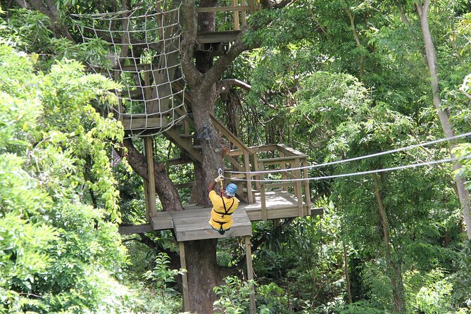 St. Lucia Morne Coubaril Estate Zipline Experience - What the $76.93 price really covers