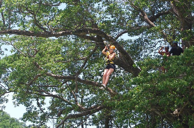 St. Lucia Morne Coubaril Estate Zipline Experience - Who will enjoy this course most