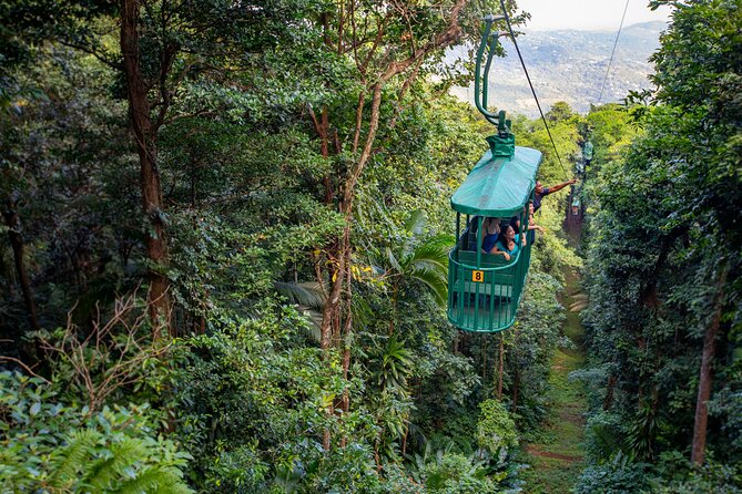 St Lucia Ultimate 3: Aerial Tram, Zipline and Hiking at Rainforest Adventures - Key points before you book