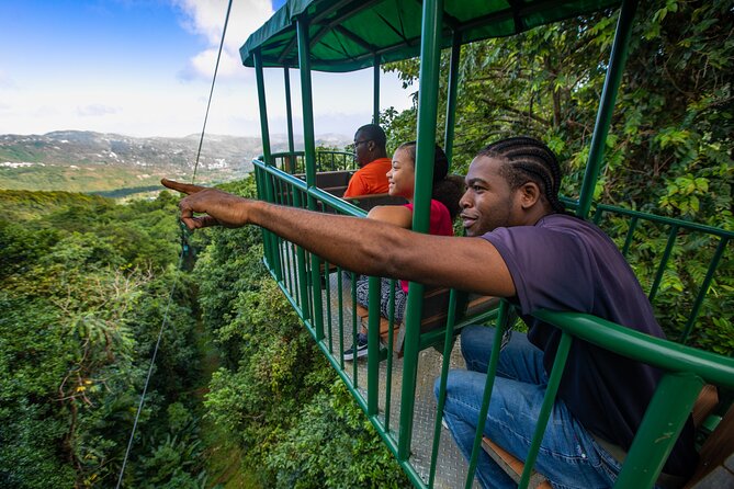 St Lucia Ultimate 3: Aerial Tram, Zipline and Hiking at Rainforest Adventures - Why this three-part rainforest day works
