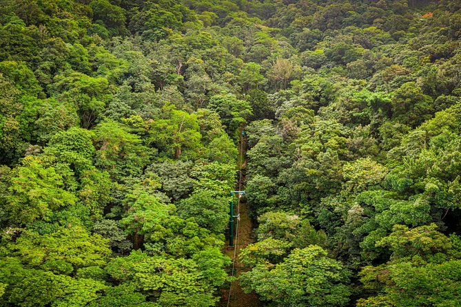 St Lucia Ultimate 3: Aerial Tram, Zipline and Hiking at Rainforest Adventures - The walk to the canopy course