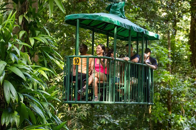 St Lucia Ultimate 3: Aerial Tram, Zipline and Hiking at Rainforest Adventures - Eight lines and 16 platforms in the canopy