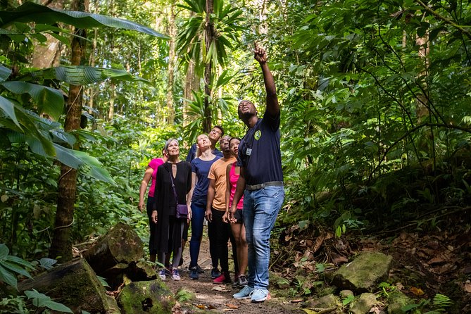 St Lucia Ultimate 3: Aerial Tram, Zipline and Hiking at Rainforest Adventures - The finish: refreshments, photos, and the ride back