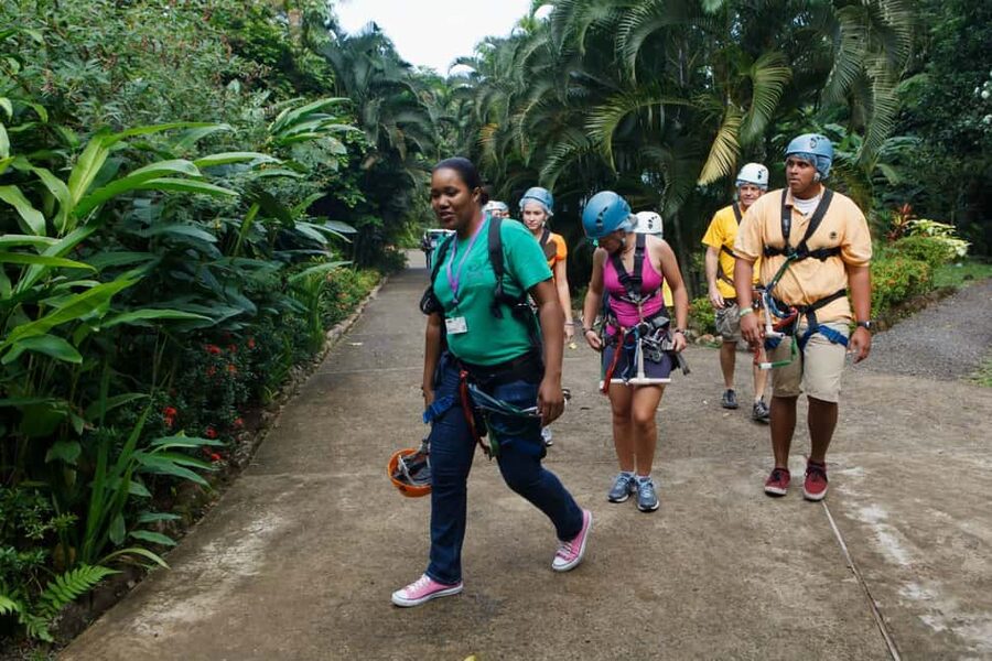 St Lucia Ultimate 3 Package: Aerial Tram Zip Line & Hiking - A Short Walk Through the Protected Forest