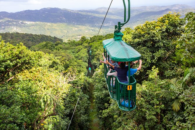 St Lucia Ultimate 3 Package: Aerial Tram, Zipline and Hiking - A calm start above the Castries Waterworks Reserve