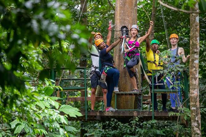 St Lucia Ultimate 3 Package: Aerial Tram, Zipline and Hiking - A guided walk that adds meaning to the scenery