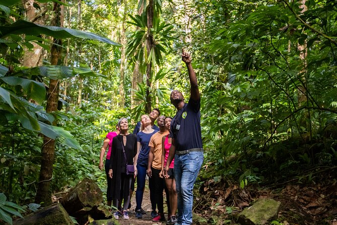 St Lucia Ultimate 3 Package: Aerial Tram, Zipline and Hiking - Cruise pickup rules need close attention