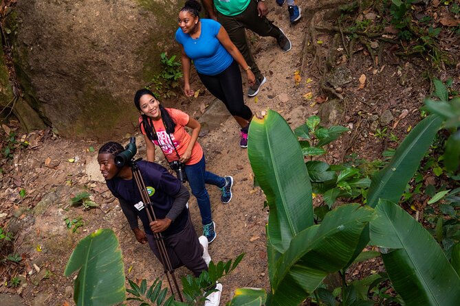 St Lucia Ultimate 3 Package: Aerial Tram, Zipline and Hiking - Who will enjoy this package most