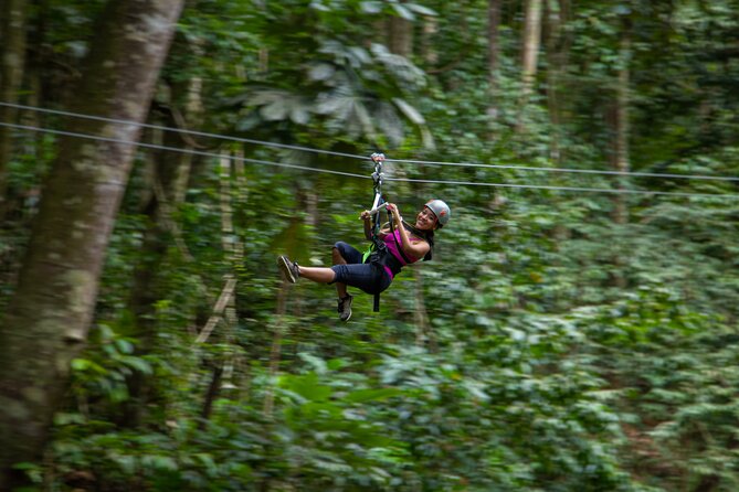 St Lucia Ultimate 3 Package: Aerial Tram, Zipline and Hiking - Should you book the St. Lucia Ultimate 3 Package?