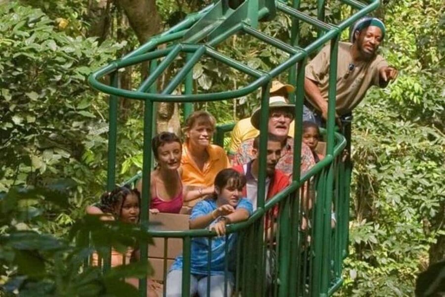 St. Lucia: Zip Line, Aerial Tram, and Hiking Tour - Key points to know before booking