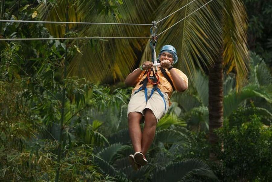 St. Lucia: Zip Line, Aerial Tram, and Hiking Tour - Three ways to see the Castries Waterworks Forest Reserve