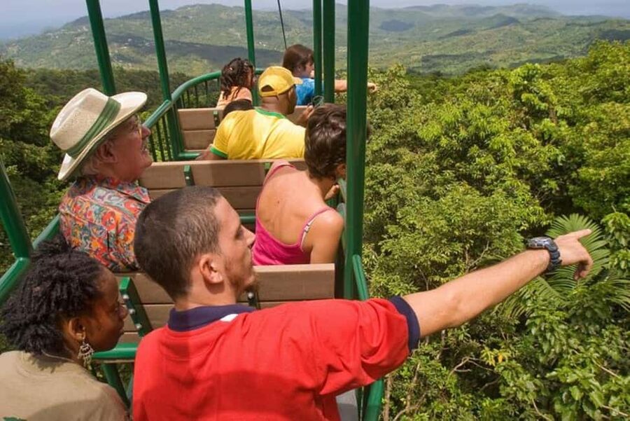 St. Lucia: Zip Line, Aerial Tram, and Hiking Tour - Ten ziplines through the canopy