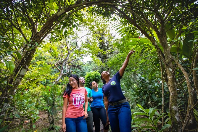 St. Lucia Zip line, Aerial Tram and Hiking tour Ultimate 3 - The tram ride down and the finish